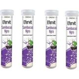 Ocean Efervit Sambucus Nigra 20 Tablet 4 Adet