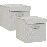 Ocean Home Textile 2'li Gri Balıksırtı Kapaklı Kutu Set 30 x 30 x 30 cm - Siyah - Plastik - Çok Renkli