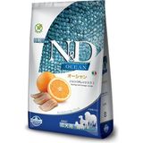 Ocean Köpek Ringa Balığı & Portakal Yetişkin Mini 2.5 kg