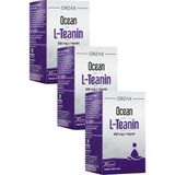 Ocean L-Teanin 200 mg 3x30 Kapsül