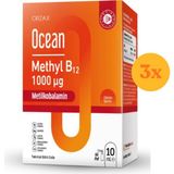Ocean Methyl B12 1000 mcg 10 ml Dilaltı Sprey - 3 Adet (Toplam 30 ml) - Dezenfektan Hediyeli (%72 Alkol)