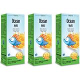 Ocean Multi Şurup 3 Kutu