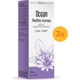 Ocean Passiflora Şurup 150 ml - 3 Adet (Toplam 450 ml) - Dezenfektan Hediyeli (%72 Alkol)