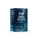 Ocean Trıbulus Terrestrıs 500 Mg 60 Cap.