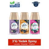 Oda Kokusu Yedek Sprey Lavanta Ferahlığı, Oryantal, Tropikal Floral, 3 x 269 ml./175gr.