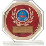ODAK KUPA - Cam Plaketler - CK-005 A - 18x19 cm