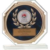 ODAK KUPA - Cam Plaketler - CK-005 B - 18x19 cm
