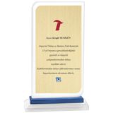 ODAK KUPA - Cam Plaketler - CM-021 B - 14x21 cm