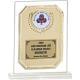ODAK KUPA - Cam Plaketler - CM-036 A - 18x21 cm