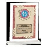 ODAK KUPA - Cam Plaketler - CM-040 B - 18x21 cm