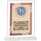 ODAK KUPA - Cam Plaketler - CM-085 A - 18x21 cm