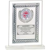 ODAK KUPA - Cam Plaketler - CM-089 B - 18x21 cm