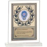 ODAK KUPA - Cam Plaketler - CM-091 A - 18x21 cm