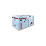 Odea 60X38X30 Sağlam Isim Kutucuklu Baskılı Gelin Çeyiz Kolisi Çift Oluklu 10 Adet - 41 Delft Blue