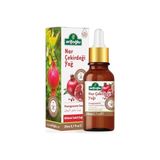 Odea Arifoğlu Nar Çekirdeği Yağı 20ML - Soğuk Sıkım, Doğal Antioksidan, Cilt Yenileyici | Arifoğlu Pomegranate Seed Oil 20ML - Cold Pressed, Natural Antioxidant, Skin Revitalizer