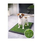 Odea Beylini Köpek Çim Tuvalet Matı Pet Kedi Plastik Havuzlu Drenajlı Kaka Çiş Ped Halısı Hijyenik Paspas Köpek Tuvalet Eğitim Parkı Tuvalet Çiş Eğitimi 50X75CM