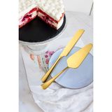 Odea Çelik Gold Pasta Spatula Bıçak Seti Kek Sunum CIN615SR - 0 - 19 L