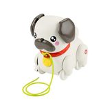 Odea Fisher-Price Minik Dostumla Yürüyüş Sesli ve Hareketli Fisher-Price Fp Pets Yürüyüş Arkadaşı Köpekçik Çekçekli Bebek Oyuncağı HTW94
