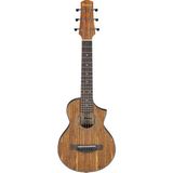 Odea Ibanez EWP14WB-OPN Ewp Serisi Akustik Gitar - 3 Renk Sunburst