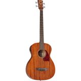 Odea Ibanez PCBE12MH-OPN Pcbe Serisi Akustik Bas Gitar - 3 Renk Sunburst