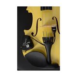 Odea Joy Model Akustik Keman Için Piezo Mikrofon – Pasif Manyetik Pickup, Temaslı Montaj, Doğal Ton, 6.35MM Jak, Amfi ve Kayıt Için Uyumlu 2 Renk Seçeneği Siyah Beyaz (5, Siyah)