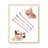 Odea Köpekler ve Kediler Için Yumuşak Diş Fırçası, 4'lü Paket