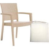 Odea Paris Rattan Minderli Koltuk Sandalye, 4 Adet, Bej - 301 - Siyah