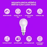 Odea Rgb LED Ampul, 60W Eşdeğer 2'li Paket ile Akıllı Uyum - Amber