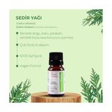 Odea Sedir Uçucu YAĞ%100 Doğal Saf Katkısız Aromaterapi Cilt Bakım Yağı Buhurdanlık Kokusu 10 ml - 000-Siyah