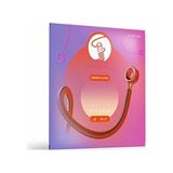 Odea Venüs Seri Akustik Gitar Teli 10-47 Sl - 3'lü Set - 3 Renk Sunburst