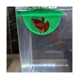 Odea Woof Akvaryum Beta Balığı Saklanma Alanı,yüzen Mağara 8 cm