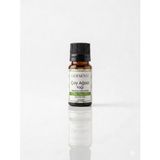 ODESENSE Çay Ağacı Uçucu Yağı 10 ml %100 Doğal Ve Saf Içerik Damlalıklı Kapaklı Şişe Katkısız