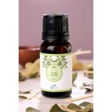 Odor Time Niouli Yağı %100 Doğal Bitkisel Uçucu Yağ 10 ML
