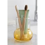 Oduman Modern Minimalist Cam Diş Fırçalık - Banyo Organizeri (11 cm) - Kehribar Sarısı