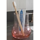 Oduman Modern Minimalist Cam Diş Fırçalık - Banyo Organizeri (11 cm) - Mercan Pembe