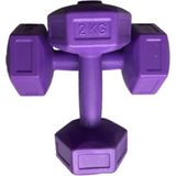 OEM 2 kg x 2 Adet Dambıl Vinyl Kaplı Dumbell Ağırlık-Mor