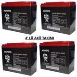 OEM Akü 12 V 20 Ah/22 Ah Elektrikli Bisiklet Aküsü (4’lü Takım) Swan Monero