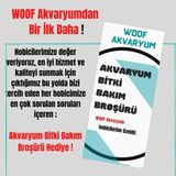OEM Amazon Frogbit Su Üstü Bitkisi 1 Adet Akvaryum Bitkisi Havuz Bitkisi