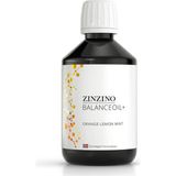 OEM Balance Oil+ 100 ml - Portakal Limon Nane - Yeni Nesil Balık Yağı