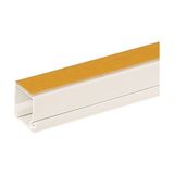 OEM Kablo Kanalı Yapışkanlı 40 x 25 Pvc 2mt - Beyaz