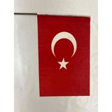 OEM Lona Sanat 10 Adet 50X70 cm Raşel Kumaş Sopalı Türk Bayrağı