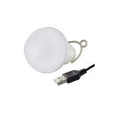 OEM Powermaster 5 Watt 6 Volt Usb Kablolu 1 Metre Led Ampul Beyaz
