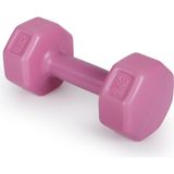 OEM Ps Spor 2 x 1 kg Dambıl Pembe (Özel Plastikten Üretilmiştir)