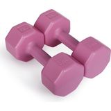 OEM Psspor 2 Adet 3kg Pembe Renk Dambıl Seti (2 Adet 3kg Gönderim Yapılmaktadır)