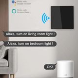OEM Tuya Smart Life Wifi Akıllı Lamba Beyaz Cam Duvar Dokunmatik Akıllı Anahtar Beyaz 2 Tuş