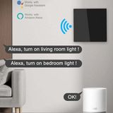 OEM Tuya Smart Life Wifi Akıllı Lamba Siyah/beyaz Cam Duvar Dokunmatik Akıllı Anahtar Beyaz 2 Tuş
