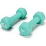 OEM Vinyl Neoprene Dambıl 2kg x 2 Adet - Turkuaz