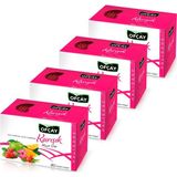 Ofçay Halisane Karışık Meyve Çayı 80 (20 x 4)