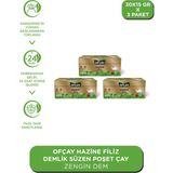 Ofçay Hazine Zengindem Demlik Poşet Çay 30 x 15 gr Sade İçerik 3 Paket
