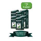 Ofçay Ofçaysan Çamlıca Filizi Çayı 1000 gr x 6'lı